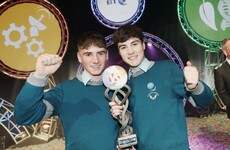 Two lads from Cork have won this year's BT Young Scientists top award