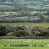 Today's racing at Punchestown cancelled due to 'safety concerns' amid storm