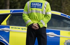 Garda probe under way after human remains found in north Dublin