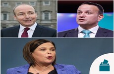 A third of Irish people don't want any of the party leaders to become next Taoiseach, poll finds