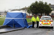 Fears for missing 17-year-old boy as gardaí seek to identify body parts dumped in bag