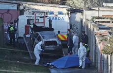 'No coincidence' human body parts dumped in areas of Dublin linked to gangland crime