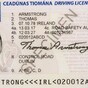 Government aiming for 'successful conclusion' to asylum seeker driver licence question after WRC ruling