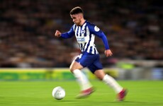 'His attributes are unique' - Brighton boss says Irish teen star Connolly must be managed carefully