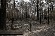 Wildfires may permanently alter Australian landscape, scientists warn