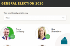 Who wants to be your TD? Meet the 2020 candidates with TheJournal.ie's election centre
