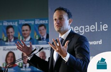 Fine Gael promises reduced taxes, pension increases and a Brexit A-Team