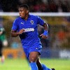 AFC Wimbledon youngster joins Cork City on loan