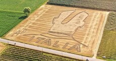 Here's your 'Mario Balotelli tribute in a crop circle' pic of the day