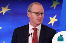 'We're not trying to scare people': Coveney says Brexit not coming up on the doorsteps, but that might change
