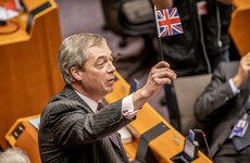'Put your flags away': Mairead McGuinness tells off Brexit Party MEPs for waving Union Flags