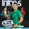 Defending champion Djokovic dominates injury-hit Federer to reach Australian Open final