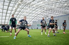 'Energy is really the right word' as Ireland seek fresh start from new base
