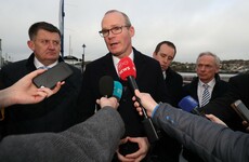 Coveney claims Brexit will 'dominate Irish politics' as UK prepares to leave the EU tonight