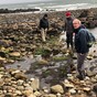 Archaeologist believes crannóg site has been discovered in Co Galway