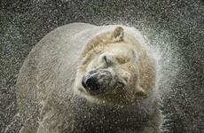 Here's What Happened Today: Tuesday