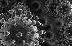 'This is not a Chinese disease': Concerns derogatory language may stop coronavirus sufferers coming forward