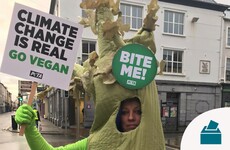 Woman dressed as celery ejected from Kerry polling station