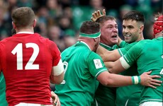 Farrell's Ireland excite Dublin crowd with impressive bonus-point win over Wales
