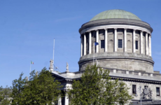 Dáil pigeons, Four Courts rats and museum mice among dozens of pest callouts to OPW sites