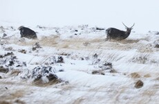 Status Yellow snow-ice warning issued for 11 counties