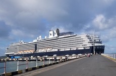 'Small number' of Irish people on two cruise ships where coronavirus detected, Coveney says