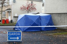 Woman arrested over fatal shooting where man's body was found in burning car in Lucan