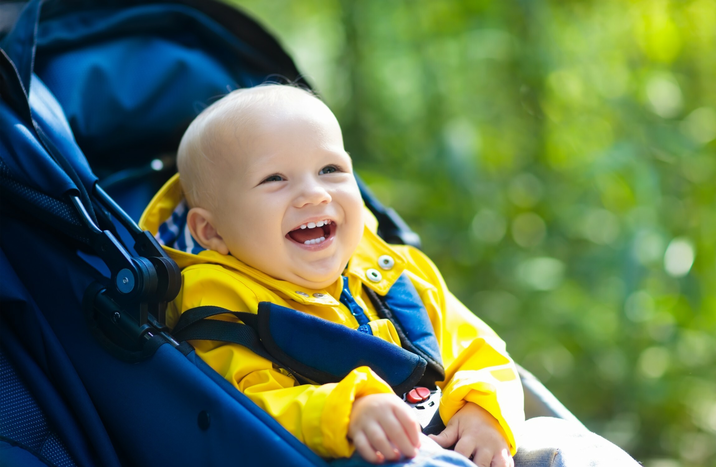 debenhams buggy