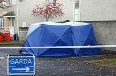 Two people arrested over fatal shooting of Wayne Whelan released without charge