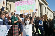 Ireland ranks in bottom 30 in world for tackling carbon emissions, according to UN report