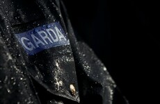 Drug-unit garda suspended for over 3 years while being investigated, tribunal told