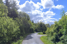 Appeal for witnesses as man dies after car struck ditch in Co Wicklow