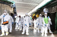 Coronavirus: How likely is it to come to Ireland? And can the health service cope with an outbreak?