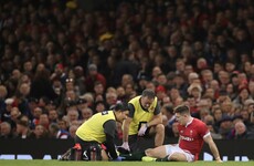Prolific Welsh wing Adams ruled out for three months after suffering ankle injury against France