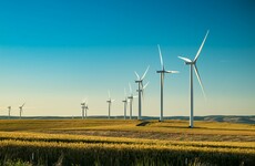 Three children receive €225,000 settlement over alleged illnesses caused by windfarm near family home