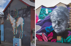 Dublin City Council starts legal bid to remove 'Horseboy' and David Attenborough murals