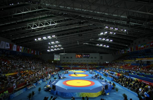 Irish amateur wrestler banned for three months after testing p