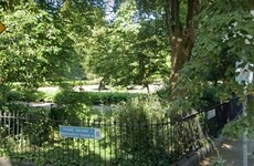 Dublin City Council says it's 'common sense' not to enter public parks after dark but has just made another open 24/7