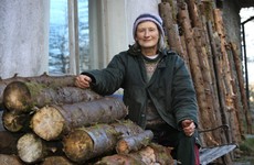 Woman who cut down spruce trees in Coillte forest and replaced them with native trees is spared jail
