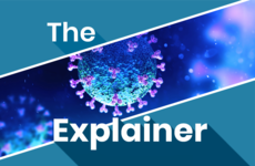 The Explainer: What you need to know about Covid-19