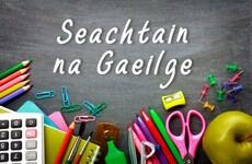 Opinion: This Seachtain na Gaeilge, we should celebrate the rise of the Gaelscoil Generation