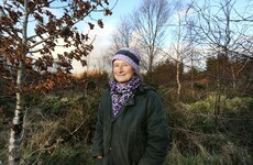 Opinion: ‘Coillte took me to court but we could work together to make forests a better place'