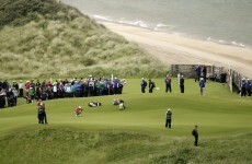Irish Open: Singh takes early lead as Harrington in the hunt
