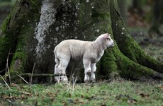 Freezing start to today will give way to a changeable but milder weekend