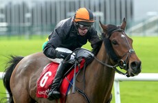 5 long-shot bets to consider as Cheltenham takes centre stage