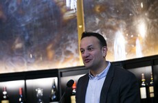 'Some validity' in criticism of Fine Gael Seanad candidates, says Varadkar