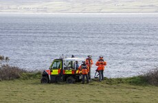 Pony lost at sea despite rescue efforts after bolting from beach in Clare