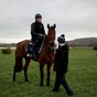 Bookmakers know that defeat for Envoi Allen this week is massive in battle with punters