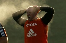 At last: Paulie set for comeback