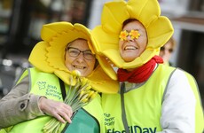 Irish Cancer Society expects to take 'huge hit' financially after cancelling Daffodil Day
